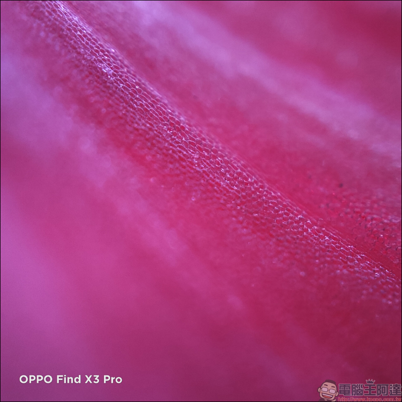 OPPO Find X3 Pro 簡單上手玩｜10.7 億顯色螢幕、雙 50MP 大尺寸感光元件相機 - 電腦王阿達