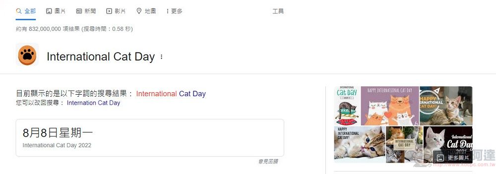 8月8日國際貓節日 Google 搜尋加入貓咪彩蛋 - 電腦王阿達