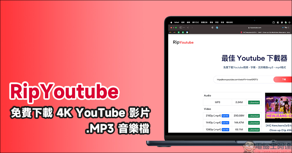 Rip YouTube 免費影片下載工具：支援最高 4K YouTube 影片、音樂免費下載，無廣告、操作超簡單 - 電腦王阿達
