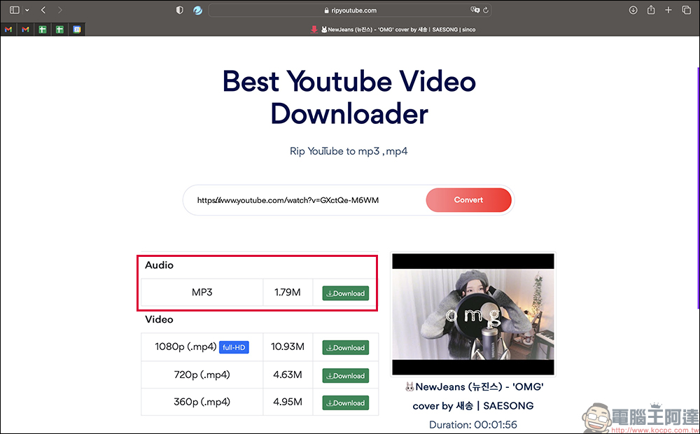 Rip YouTube 免費影片下載工具：支援最高 4K YouTube 影片、音樂免費下載，無廣告、操作超簡單 - 電腦王阿達