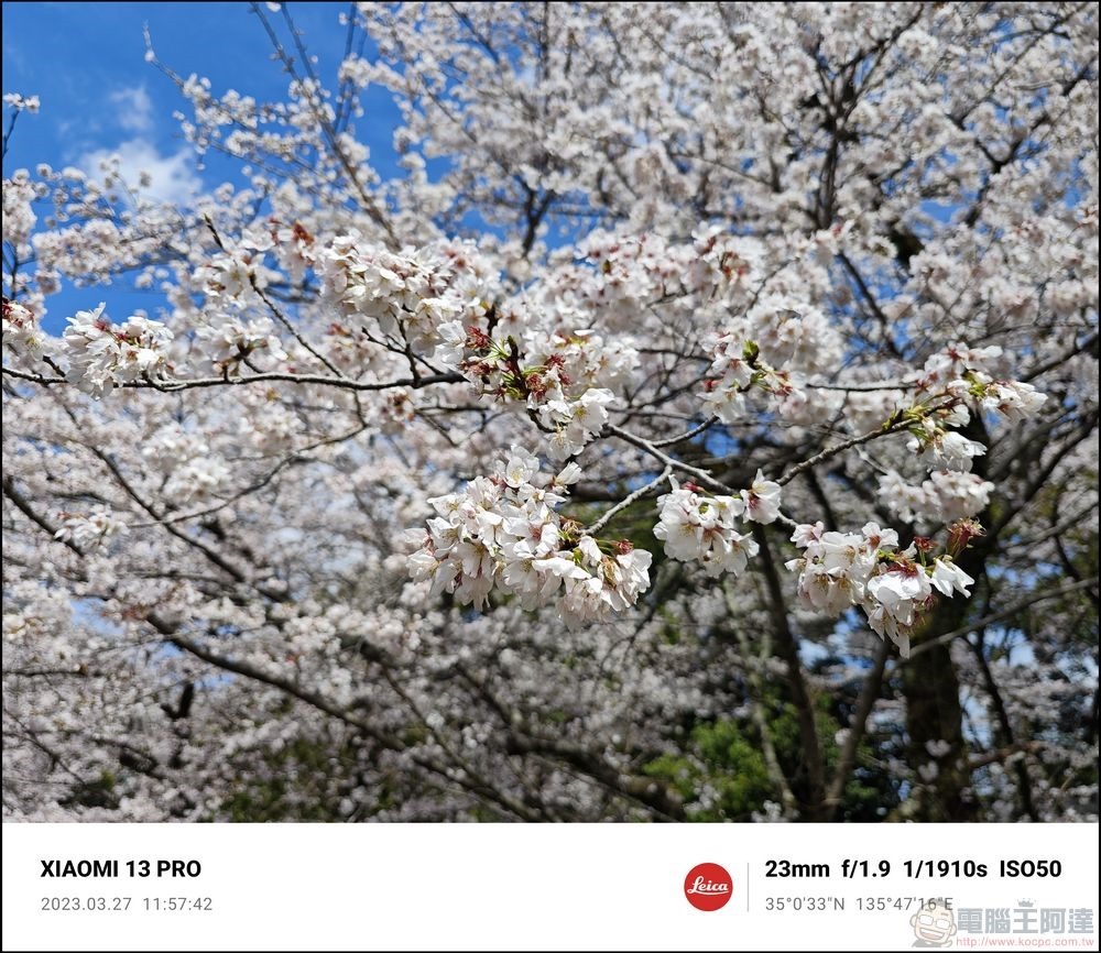 Xiaomi 13 Pro 櫻花拍攝樣張 - 13