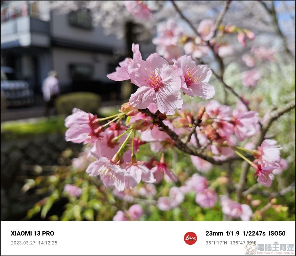 Xiaomi 13 Pro 櫻花拍攝樣張 - 21