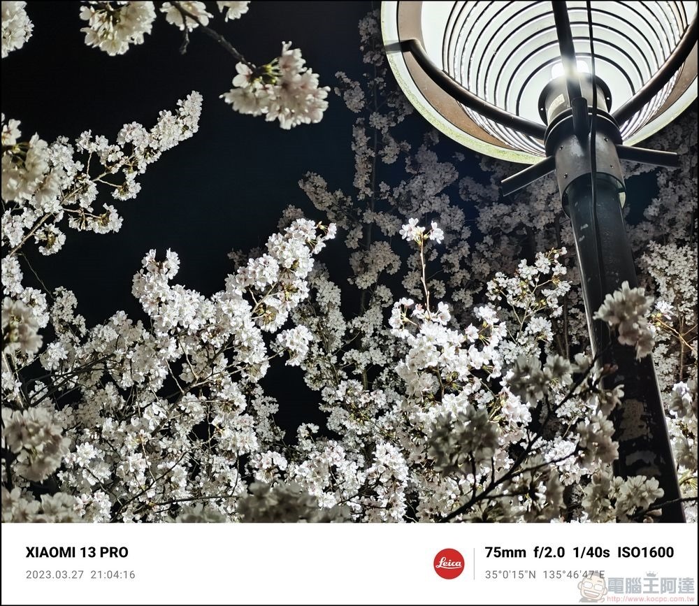 Xiaomi 13 Pro 櫻花拍攝樣張 - 33