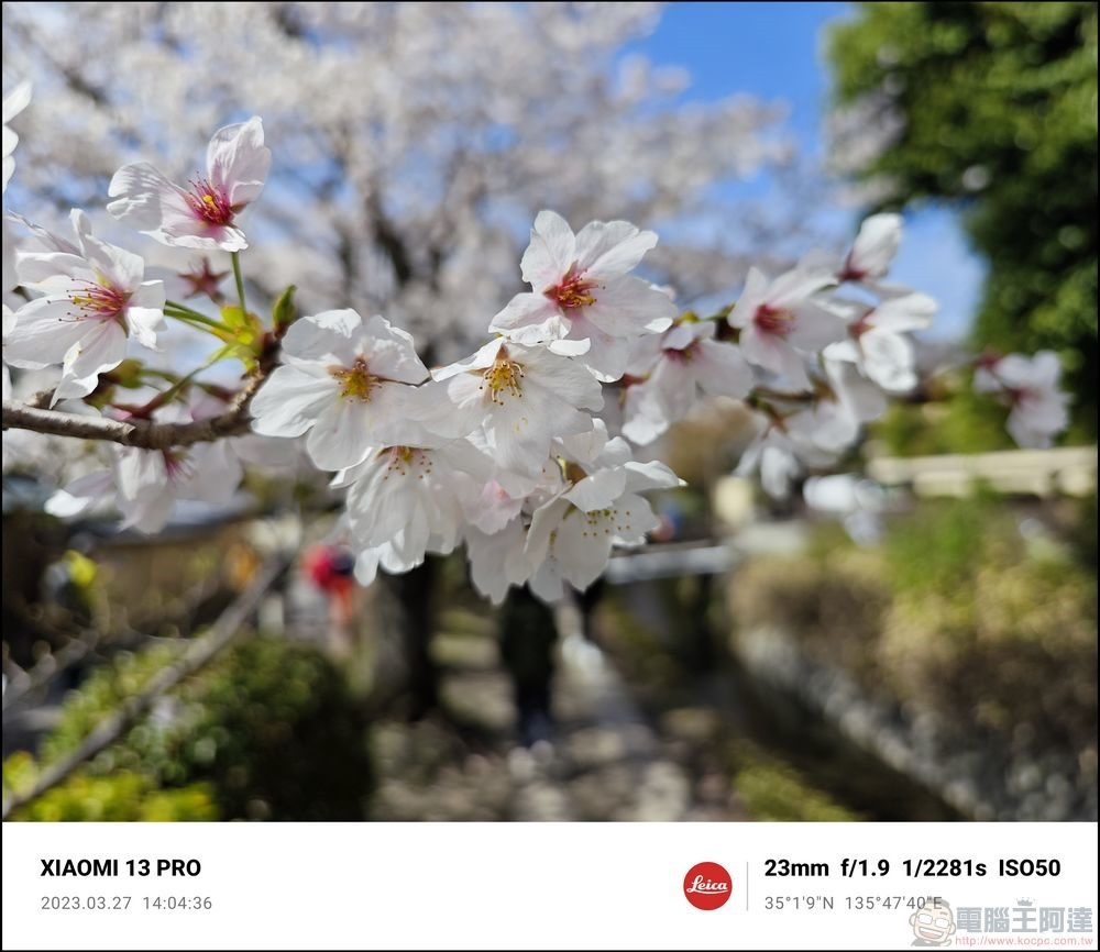 Xiaomi 13 Pro 櫻花拍攝樣張 - 39