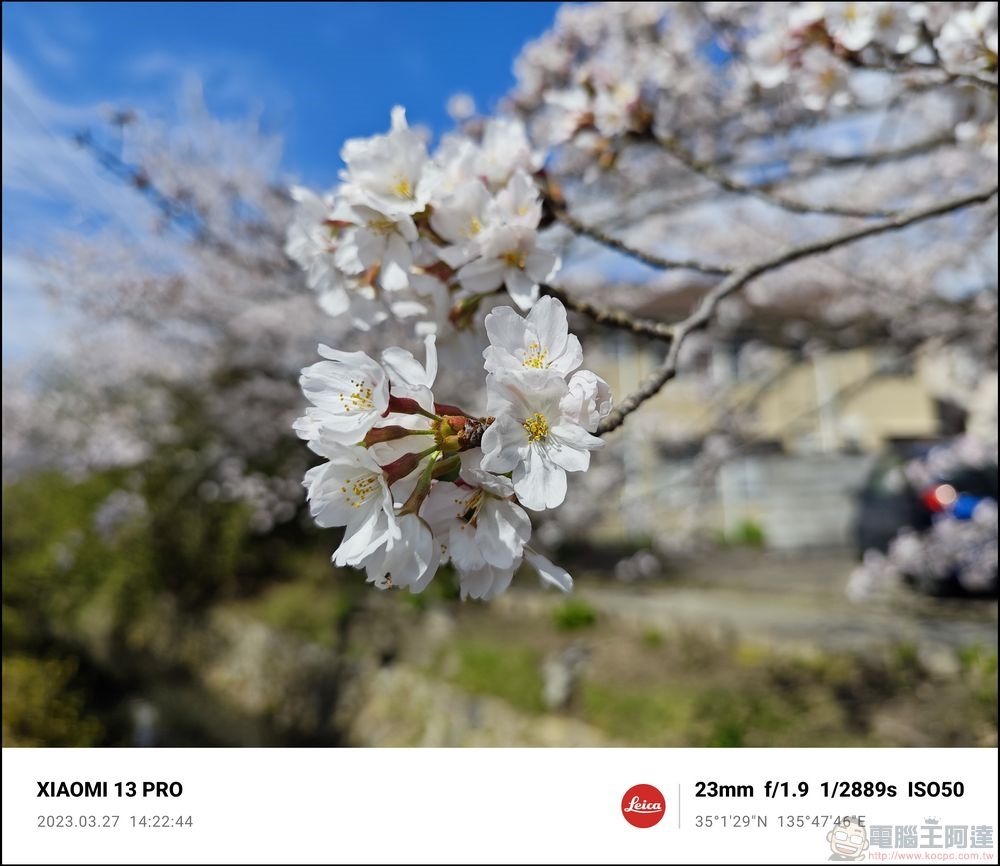 Xiaomi 13 Pro 櫻花拍攝樣張 - 40