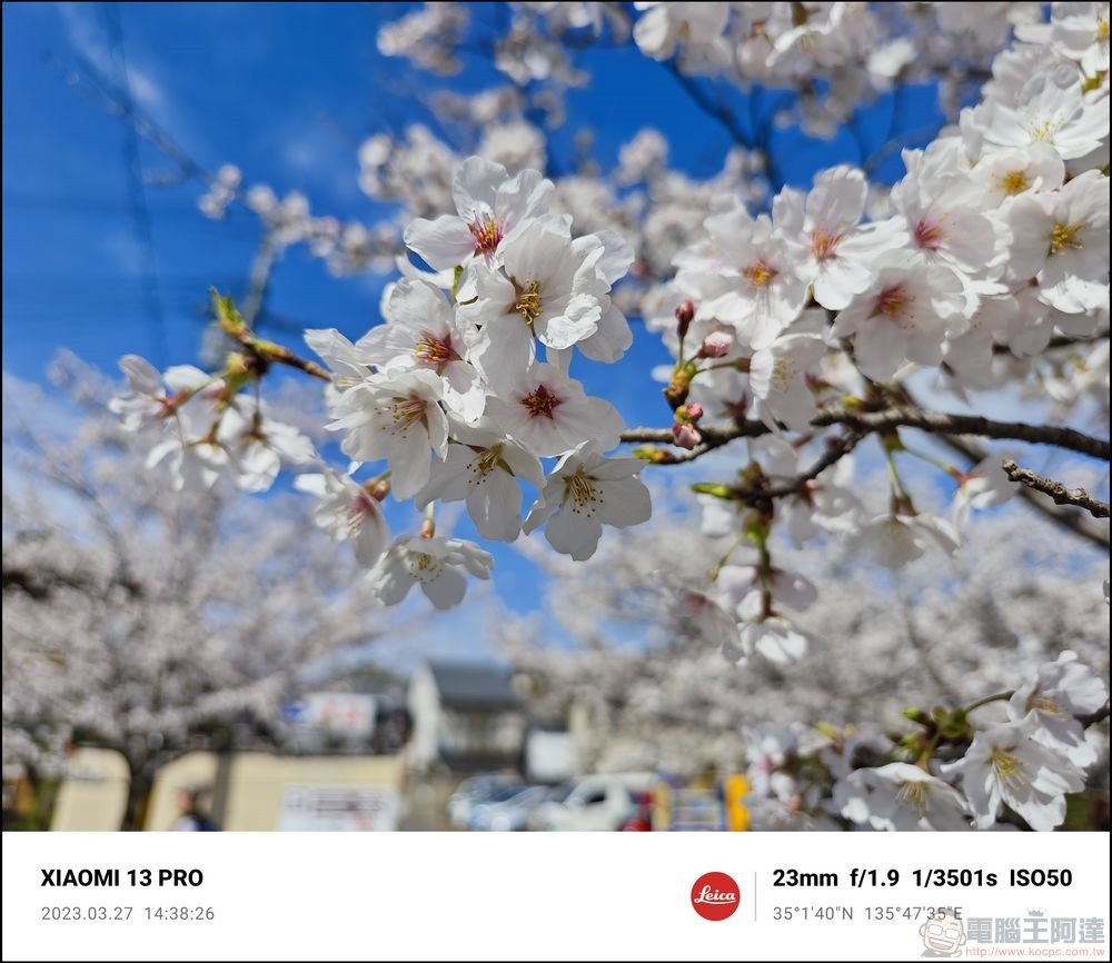 Xiaomi 13 Pro 櫻花拍攝樣張 - 41