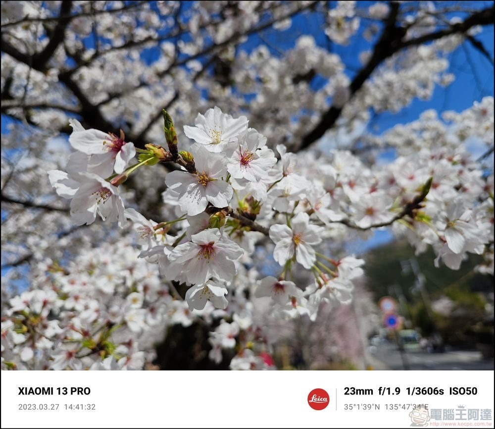 Xiaomi 13 Pro 櫻花拍攝樣張 - 42