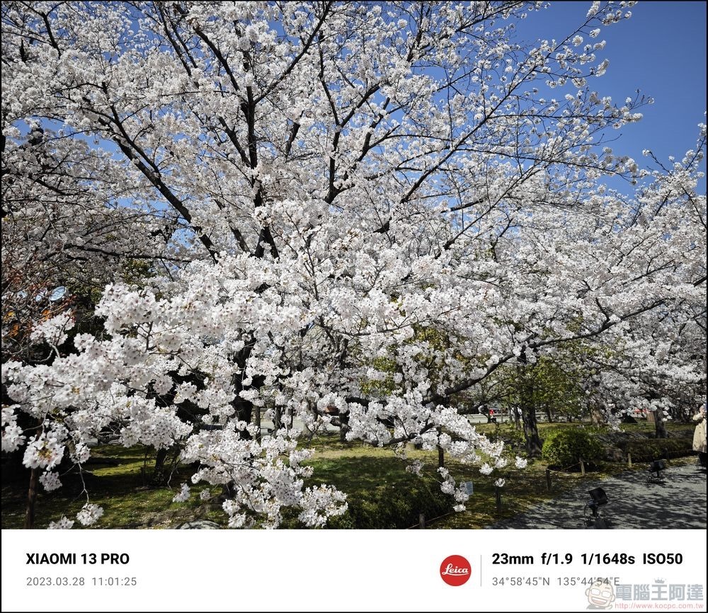 Xiaomi 13 Pro 櫻花拍攝樣張 - 45