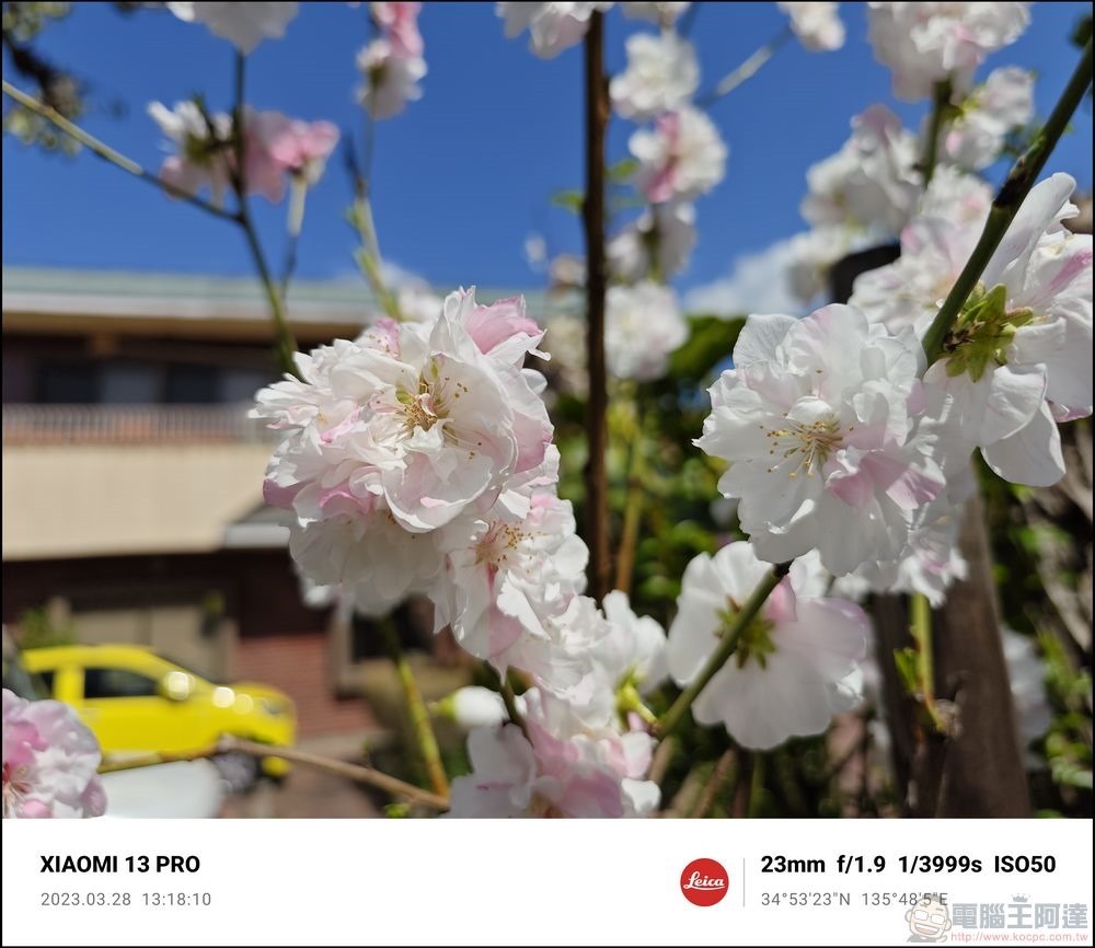 Xiaomi 13 Pro 櫻花拍攝樣張 - 46