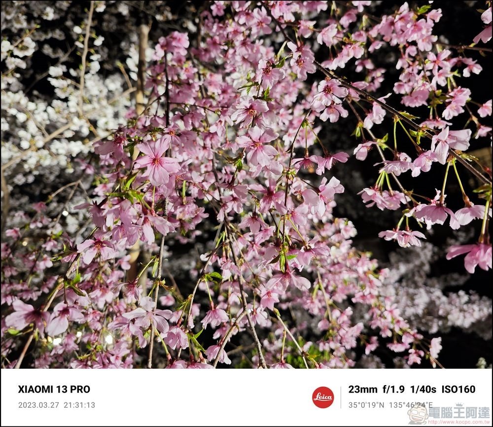 Xiaomi 13 Pro 櫻花拍攝樣張 - 60