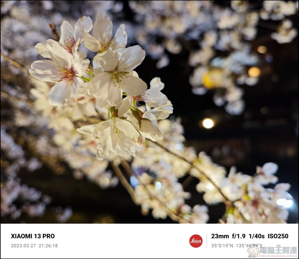 Xiaomi 13 Pro 櫻花拍攝樣張 - 64
