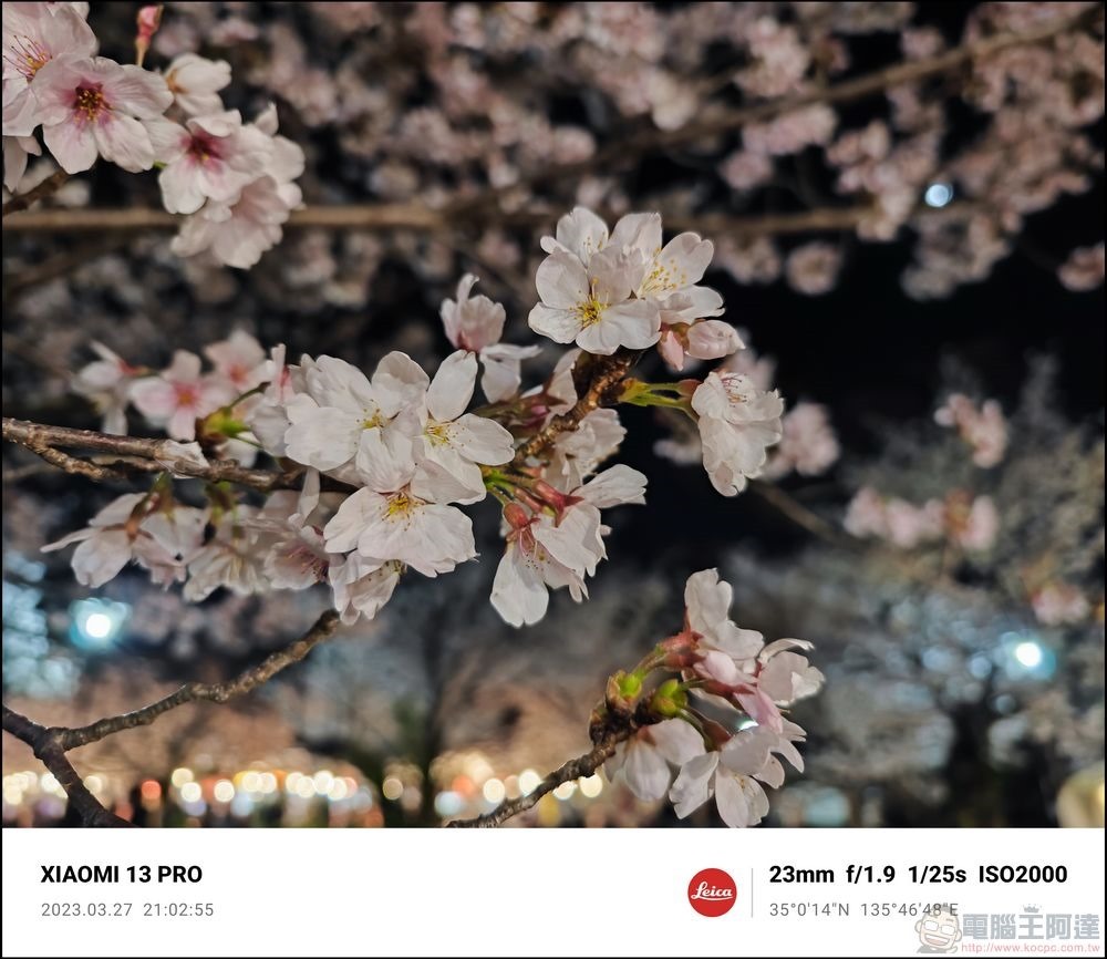 Xiaomi 13 Pro 櫻花拍攝樣張 - 65