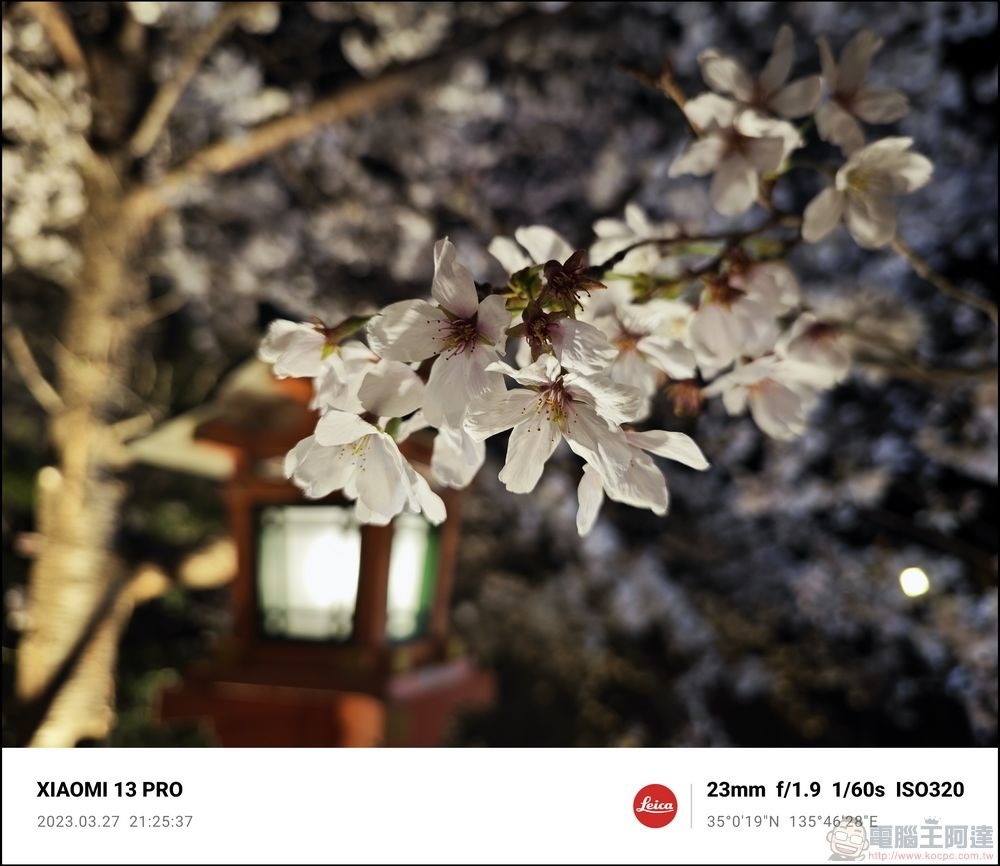 Xiaomi 13 Pro 櫻花拍攝樣張 - 67