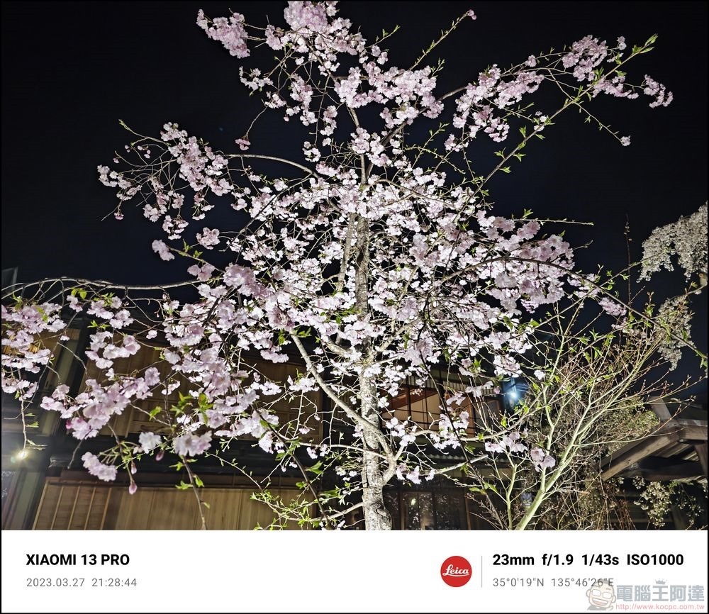 Xiaomi 13 Pro 櫻花拍攝樣張 - 68
