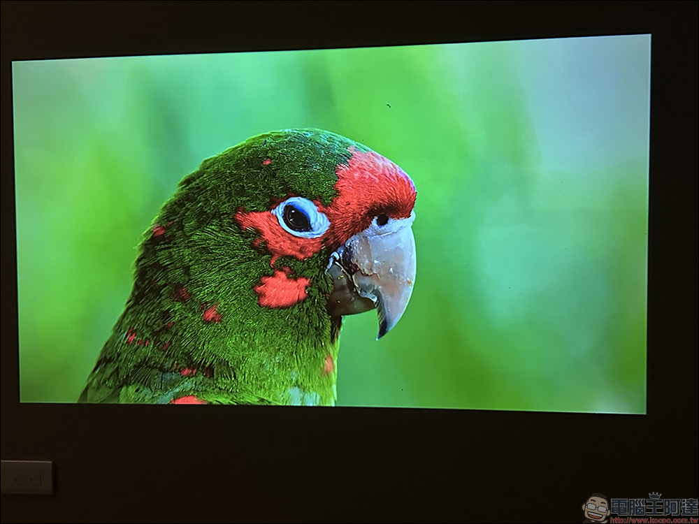 Warpple LS3 智慧投影機開箱｜首款升級最新 OVO TV OS 5，專為年輕族群打造的全方位高 CP 值投影機 - 電腦王阿達