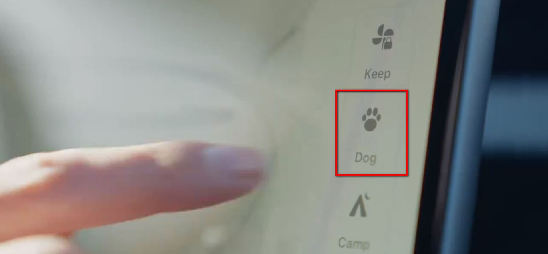 特斯拉表示寵物模式( Dog Mode )也適用貓咪用 ! - 電腦王阿達