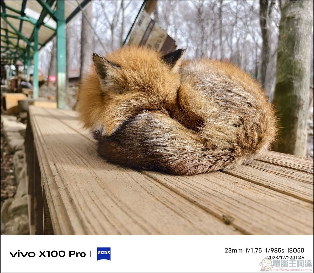 vivo X100 Pro 拍照測試 - 052